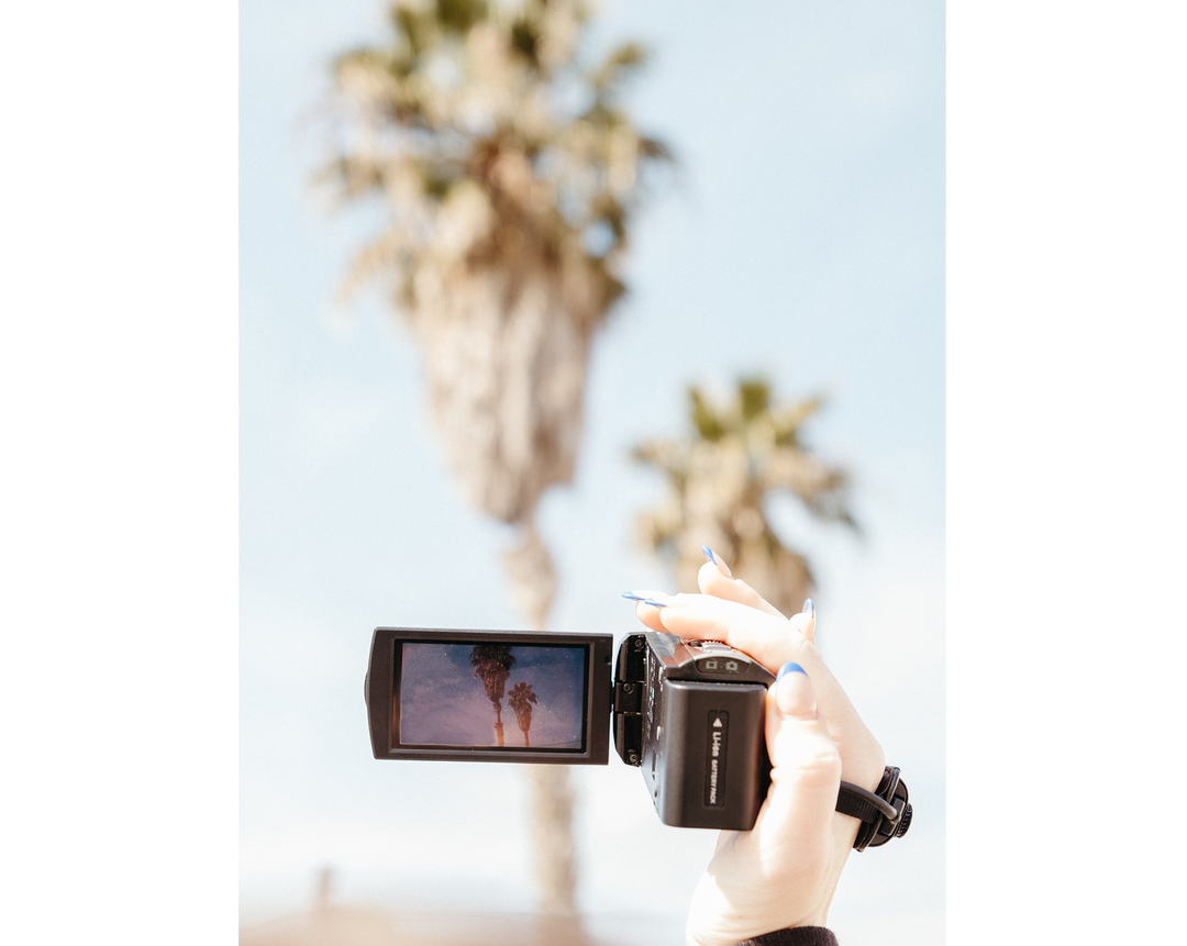 The Guest Camcorder